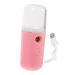 FOMIYES Steamer Pot Mini Humidifier Usb Face Sprayer Hot Makeup Device Face Steamer Air Spray Meter