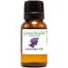 GreenHealth Lavender Essential Oil 1/2 fl oz (15 ml) Amber Glass Bottle w/Euro Dropper 100% Pure & Uncut Lavender Oil for Diffusers Aromatherapy Candles Soaps & DIY - Buy Online on GoSupps.com