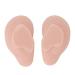 Realistic Silicone Ears for Otoplasty Display - Soft Simulation Props in Medium Skin Color - Perfect for Earrings - Buy Online on GoSupps.com