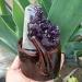 800g Amethyst Quartz - Uruguayan - Crystals - Gemstones - s - Minerals Raw Stones and Minerals dingchi Full of Texture - Buy Online on GoSupps.com