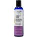 Buy Honey Flavored Massage Oil for Couples | Edible Non-Sticky Vegan Friendly | Relaxing Lotion with Vitamin E Sweet Almond & Coconut Oil - 4 oz - Buy Online on GoSupps.com