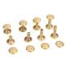 NUOBESTY 40 Sets Rivet Helix Stud Digital Food Scale Studded Belt Studs for Leather Repair Double Sided Brass