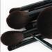 Professional Makeup Brush Set - 6 Essential Brushes with Bags for Foundation Blush Concealer & Eye Shadow | International Shipping Available - Buy Online on GoSupps.com
