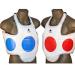 Pine Tree Sang Moo Sa Martial Arts, Taekwondo, Reversible Chest Guard