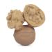 Oli & Carol - Baby teething ring made of natural rubber Nutty the Walnut 9 cm