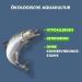 Buy Irish Hypoallergenic Dog Food - 4kg Atlantic Salmon & Kelp | High Meat Cereal-Free | Sensitive Formula for All Breeds - Buy Online on GoSupps.com