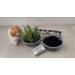 Cat Grass Barley 3 Pack by Cat FurNature - Buy Online on GoSupps.com
