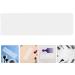 Healeved Kit Professionnel de 3 Planches M ches Transparentes pour Coloration Capillaire Palette de Mise en Valeur pour Coiffeurs Outil Multi-Usages pour Balayage et Teinture  - Buy Online on GoSupps.com