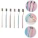Frcolor 6th Adult Stiff Brush - Manual Reusable Toothbrush for Stain Removal & Nubuk Cleaning - Buy Online on GoSupps.com