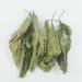 Bitter Leaf Tea 50g - Buy Online on GoSupps.com