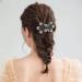 5 Pcs Double Flower Rhinestone Hair Clips - Fancy Crystal Barrettes for Women (Pastoral Style) - Buy Online on GoSupps.com