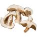 Dried Porcini Mushrooms Gr. 50 - Buy Online on GoSupps.com
