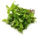 Fresh Mint Leaf Bunch | Single Bunch | Vegetarian | Mint Indian herb | Fresh Leaf | Fresh Mint Leaves | Indian Origin | Approx 200G