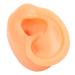 Acupuncture ear model professional authentic ear versatile soft flexible reusable for ear piercing training (right)