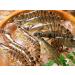 Buy 1700g Dried Small Shrimp Meat - Premium Dried Seafood from Nanhai South China Sea - International Shipping Available - Buy Online on GoSupps.com