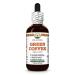 Green Coffee (Coffea Arabica) Dry Bean Glycerite Made in Hawaii All Natural Vegan Lab Tested Alcohol-Free Liquid Extract - 2 fl.oz 2 Fl Oz (Pack of 1)