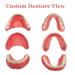 DIY Denture Fake Teeth Set - Top and Bottom Temporary Teeth for Instantly Improving Your Smile - Buy Online on GoSupps.com