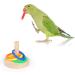 Yunmoxiao Bird Training Toy Wooden Bird Block Puzzle Toy Parrot Training Basketball Colorful Stacking Rings Toy Birds for small to Medium Birds - Buy Online on GoSupps.com