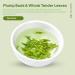 Th longjing 50g / 1 76oz -th de Printemps De Qualit Sup rieure Trait Par Pluie Feuilles En Vrac Zhejiang Origine Chinoise - Buy Online on GoSupps.com