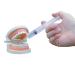 Wisdom Teeth Syringe 10 Pack - Dental Irrigation Curved Syringes for Oral Care & Pain Relief - Buy Online on GoSupps.com