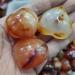 3pcs Natural Heart-Shaped Colorful Red Carnelian Agate Flame Geode Beautiful Crystal - Buy Online on GoSupps.com