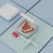 Orthodontic Retainer Case Kit - Slim Aligner Case with Chewie Tool and Cleaning Brush - Cute Milky White Dental Storage Box for Braces - Buy Online on GoSupps.com
