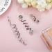6-Piece Hair Accessories Set: Hair Coils for Dreadlocks & Braids Serpentine Metal Clips & Silver Lichen Hair Accessories - Shop Internationally! - Buy Online on GoSupps.com