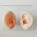 Soft Silicone Human Ear Simulation Model Learning Accessory for Ear Extraction of The Hearing Conduit Suitable for Visual Extraction Practice - Buy Online on GoSupps.com
