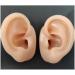 Fhuili EAR model soft-silicone-simulation ear model soft silicone-ear model for acupuncture ear picking practice studs headset earring ads props b