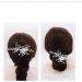 BSLVWG Flower Bride Wedding Hair Comb Slides Silver Crystal Hair Piece Bridal Hair Accessories for Women and Girls - Buy Online on GoSupps.com