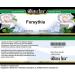 Bianca Rosa Forsythia Cream (2 oz ZIN: 520170) - 2 Pack - Buy Online on GoSupps.com
