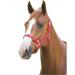 Shires Adjustable Pony/Horse Headcollar - Black Full Navy Full - Buy Online on GoSupps.com
