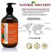 Natural Solution Liquid Soap, Formulated with Organic Blood Orange & Himalayan Pink Salt, Nourishing and Moisturizing, Hand Wash - 14 oz Each (6 Pack) (8647B-6PK) - Buy Online on GoSupps.com