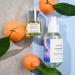 Cloud Walk Eau de Parfum Spray - Sustainably Sourced Fragrance From China - Clean & Cruelty-Free | 1 fl oz 1 Fl Oz (Pack of 1) - Buy Online on GoSupps.com
