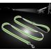 Taglory Light Dog Leash for Small Dogs | Reflective Double-Sided | Padded Handle | 1.2m x 2cm | Up to 10kg - Green (1-Pack) - Buy Online on GoSupps.com