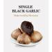 Ancestral Black Garlic single clove the Original Asian Black Garlic Airtight box of 20 units cloves 250 gr - Buy Online on GoSupps.com