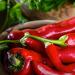 Filippo Berio Chilli Flavoured Extra Virgin Oil 1L - Buy Online on GoSupps.com