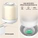 Ailgely 3L Cool Mist Humidifier | Two Nozzles | Four Mist Levels | Desktop Plant Humidifier - Buy Online on GoSupps.com