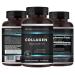 Focus Pharmacology Collagen Support (Type I II III V X) Avian Sternum Hydrolyzed Collagen Skin Peptides Collagen Support with Hyaluronic Acid + Protein Complex + Natural Supplement (180 Capsules)