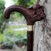 Wooden Walking Sticks Cane Elderly Crutches Chicken Wing Wooden Walking Sticks 4 Kinds of Models 93 Cm Long Can Be Truncated On Their Own Mobility Aid for Elderly Seniors & Handicap - Buy Online on GoSupps.com