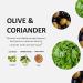 Cucina 33.8 Oz Hand Wash Refill - 2 Pack Coriander and Olive Tree Scent - Plastic Jug - Buy Online on GoSupps.com