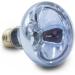 Terra Exotica Neo Spot - UV Radiation Terrarium Reflector | 25W 40W 60W 75W 100W & 150W Models - Ideal Heat & Light Source for Terrarium Dwellers - Buy Online on GoSupps.com