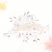 FRCOLOR 1pc Flower Crystal Ab Rhinestones Wedding Headpiece Metal Hair Claw Clips Crystal Vintage Bridal Hair Clips Silver Barrettes Hair Accessories Tiara Manual Bride Comb - Buy Online on GoSupps.com