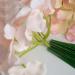 MOIAK 100pcs Plastic Floral Stem Green Florist Wires - 17cm Ideal for Crafts - Buy Online on GoSupps.com