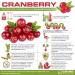 Cranberry Extract 7200mg Tablets for Bladder Health | High Strength Formula | Oxford Vitality 500 - Buy Online on GoSupps.com