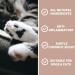 Pet Purest Coconut Paw & Nose Balm 100% Natural Moisturizer for Dogs & Cats - Soothes Itchy Skin & Dry Nose - 100ml - Buy Online on GoSupps.com
