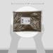 Old India Caraway Seeds 750g - Premium Quality Seeds for Cooking, 750g (Pack of 1) - Buy Online on GoSupps.com