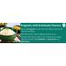 T&L Green Dragon Thai Jasmine Fragrant AAA Rice 10kg - | Delicate Jasmine Aroma | Long Aromatic Grains | Versatile for Various Cuisines | Ethically Sourced Farming | Nutrient-Rich | Gluten-Free - Buy Online on GoSupps.com