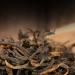 Th Dian Hong Yunnan Golden Buds Fer en conserve th cadeau th noir en vrac 250g - Buy Online on GoSupps.com
