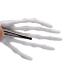 5 Pairs White & Black Skeleton Hands Hair Clips - Halloween Party Accessories - Buy Online on GoSupps.com